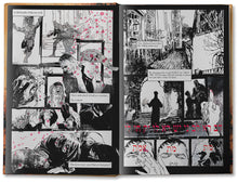 Load image into Gallery viewer, The Golem of Venice Beach Book 1