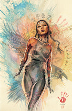 Load image into Gallery viewer, The Marvel Portfolio of David Mack - The Marvel Universe