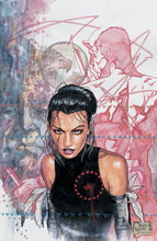 Load image into Gallery viewer, The Marvel Portfolio of David Mack - Daredevil