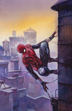 Load image into Gallery viewer, The Marvel Portfolio of Alex Maleev - The Marvel Universe