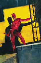 Load image into Gallery viewer, The Marvel Portfolio of Alex Maleev - Daredevil