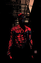 Load image into Gallery viewer, The Marvel Portfolio of Alex Maleev - Daredevil