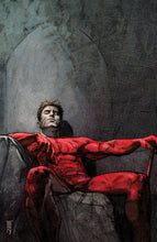 Load image into Gallery viewer, The Marvel Portfolio of Alex Maleev - Daredevil