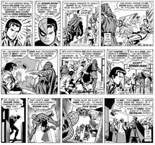 Load image into Gallery viewer, The Amazing Spider-Man Classic Newspaper Comics - 1977