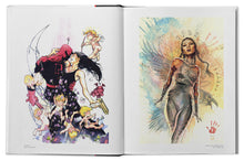 Load image into Gallery viewer, The Marvel Art of David Mack