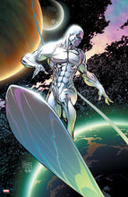 Load image into Gallery viewer, The Marvel Art of Micheal Turner - Print Bundle MARVEL ICONS