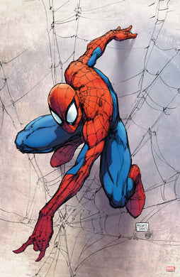 The Marvel Art of Micheal Turner - Print Bundle SPIDER-MAN