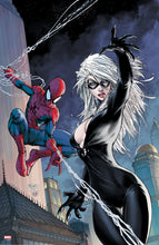 Load image into Gallery viewer, The Marvel Art of Micheal Turner - Print Bundle SPIDER-MAN