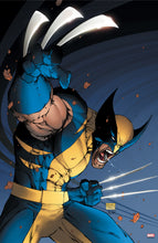 Load image into Gallery viewer, The Marvel Art of Micheal Turner - Print Bundle X-MEN