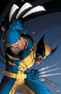 The Marvel Art of Micheal Turner - Print Bundle X-MEN