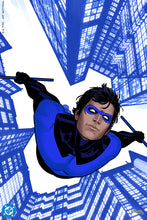 Load image into Gallery viewer, The DC Portfolio of Bruno Redondo - Nightwing